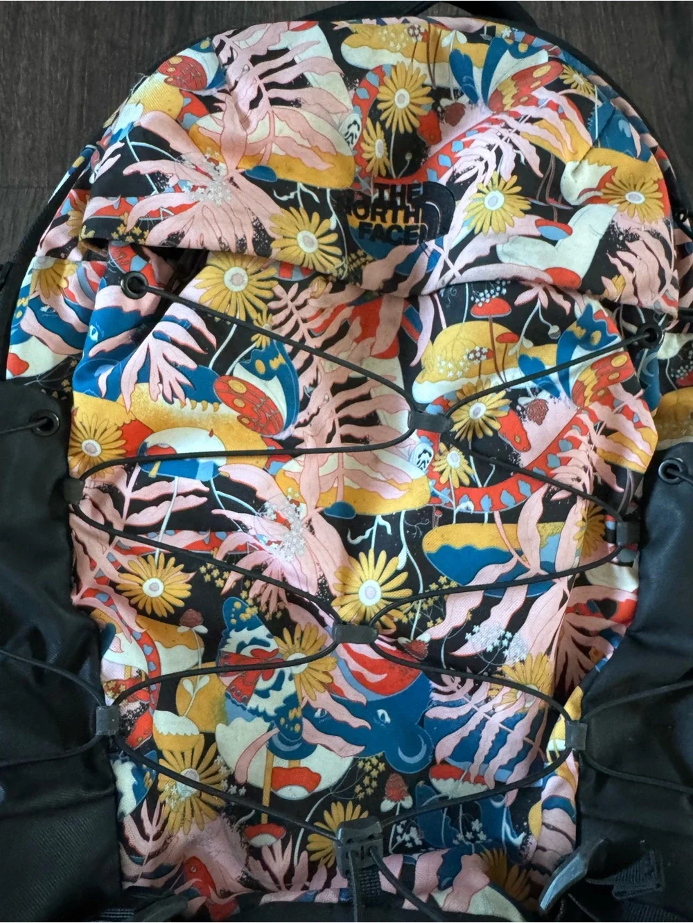 North face borealis backpack